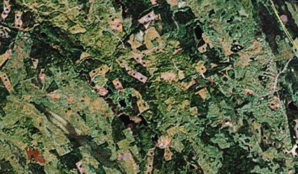 Karjal